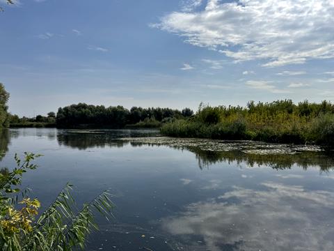 участок по адресу с. Ходосовка, 