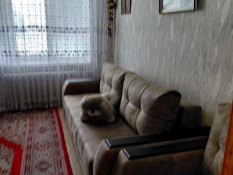 квартира за адресою Фестивальний пров., 2