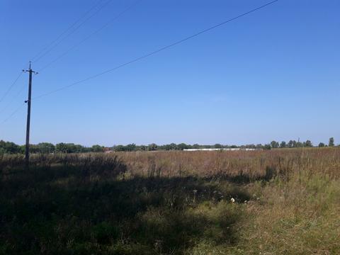 ділянка за адресою с. Рожівка, 