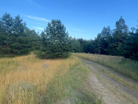 ділянка за адресою с. Китайгород, 