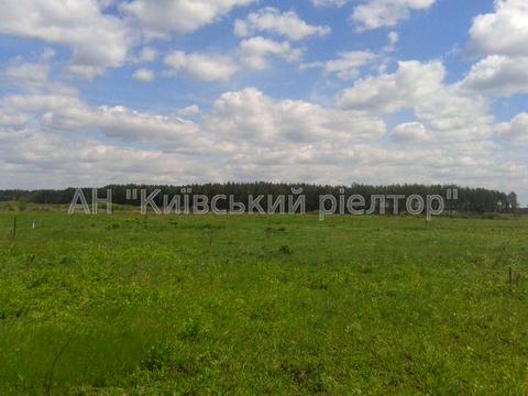 участок по адресу с. Рожны, 