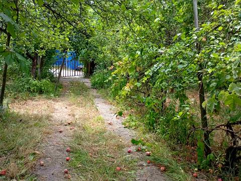 дом по адресу с. Халепье, СТ Струмок