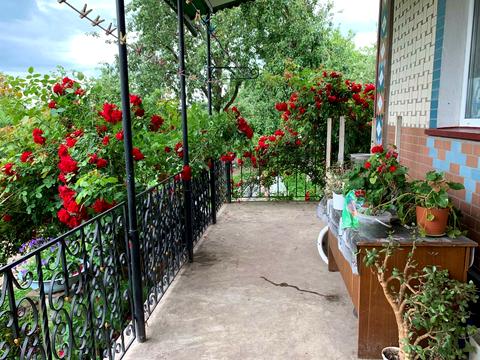 квартира за адресою Центральна, 23