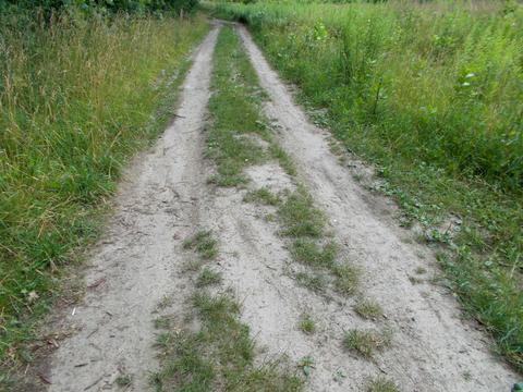 участок по адресу пгт. Козелец, О.Береста, 16