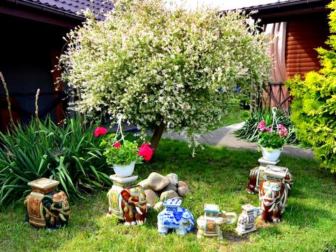 дом по адресу Жовтневая ул. (Жовтневая), 72