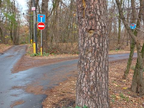 участок по адресу Тераспільська
