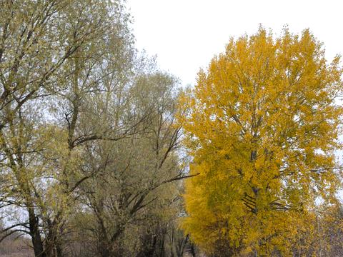 участок по адресу Промислова