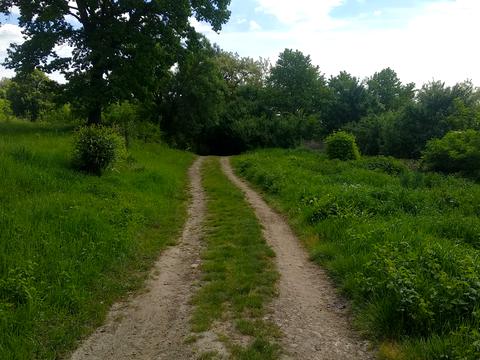 участок по адресу 