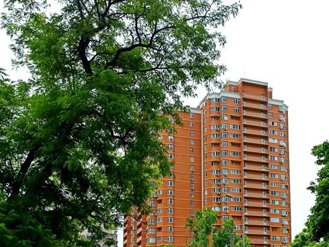 квартира по адресу Балковская ул., 137г