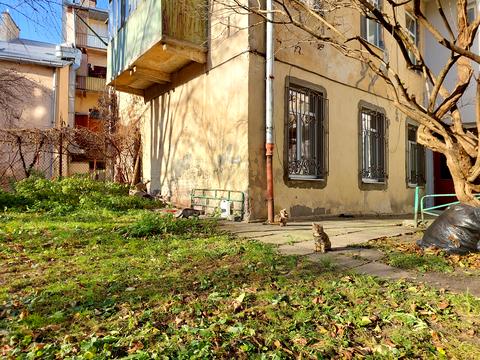 квартира по адресу Пекарская ул., 26
