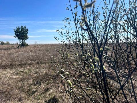 участок по адресу Василькова