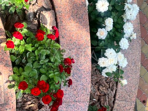будинок за адресою Центральна вул.