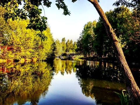 будинок за адресою Шевченка вул.