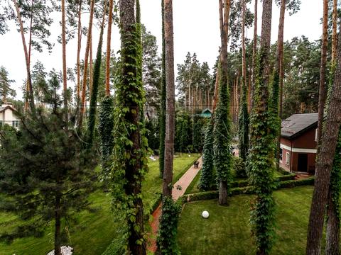 будинок за адресою Антонія Михайловського вул., 15