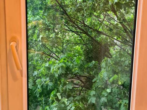 квартира за адресою Чистяківська вул., 26