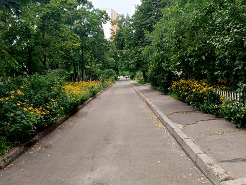 квартира по адресу Пантелеймона Кулиша ул. (Челябинская), 9