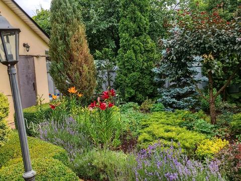 будинок за адресою київська