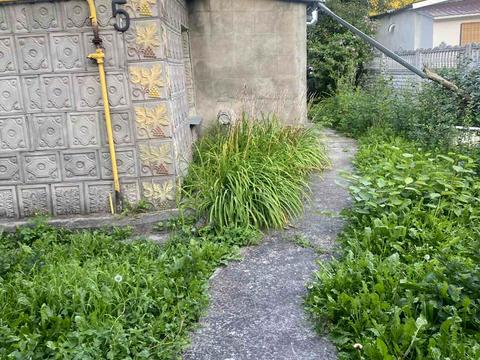 ділянка за адресою Дмитра Іваха вул. (Жванецька), 5