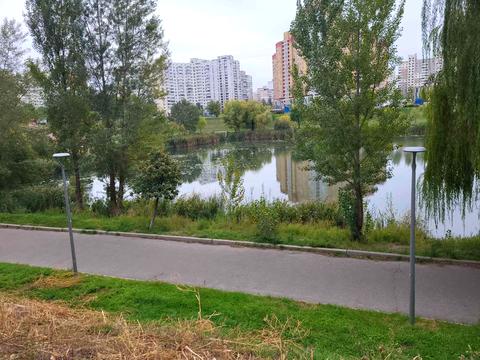 квартира за адресою Драгоманова вул., 31-А