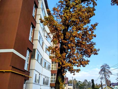 комерційна за адресою Лисенка вул., 13