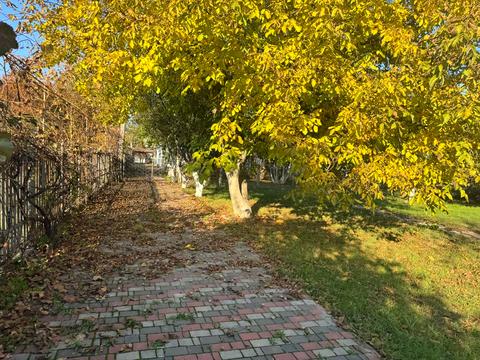 дом по адресу Польова