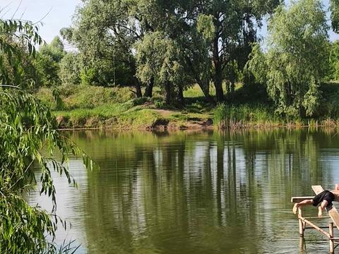 квартира по адресу Ялтинская ул., 14