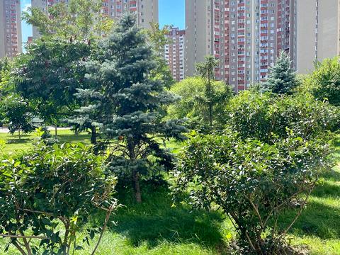 квартира за адресою Урлівська вул., 38-А