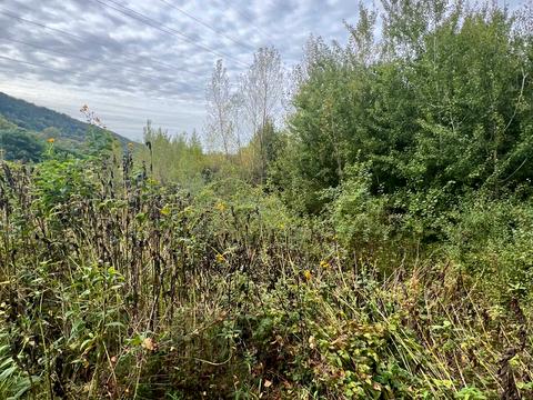 ділянка за адресою 