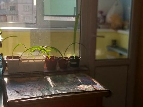 комната по адресу Приозёрная ул., 26