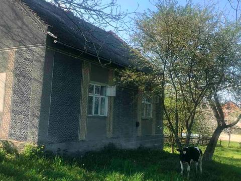 будинок за адресою Шевченка
