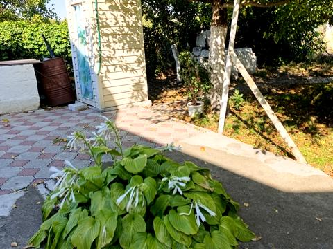 будинок за адресою Низовая