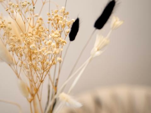 квартира за адресою Дегтярівська вул., 17 к1