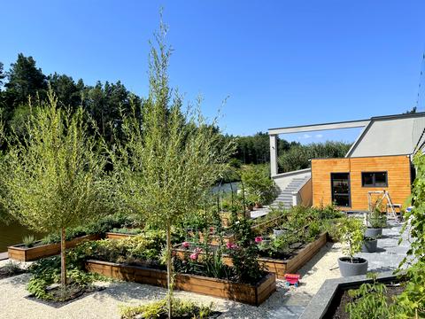 дом по адресу Салютна