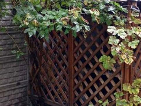 дом по адресу Українська ул.