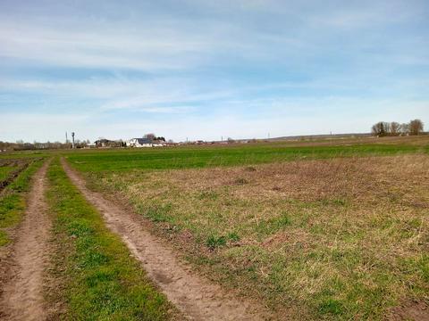 ділянка за адресою нове село, 1