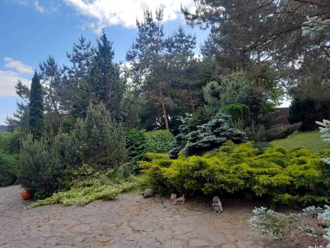 будинок за адресою Вербова вул., 41