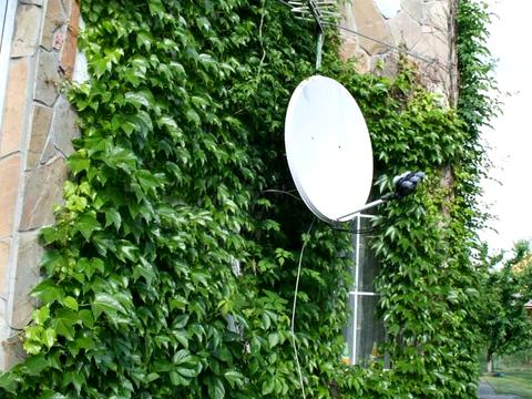 будинок за адресою лесная, 10