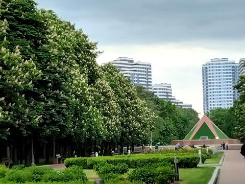 квартира по адресу Князя Романа Мстиславича ул. (Генерала Жмаченка), 4