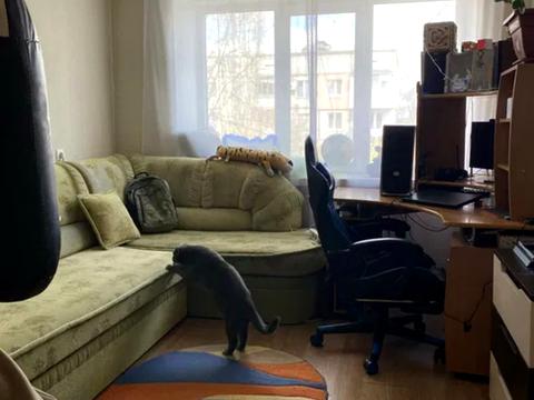 квартира по адресу Яновского ул., 88