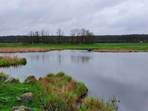 ділянка за адресою Садова, 8
