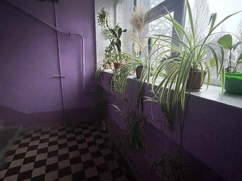 квартира по адресу Портовая ул., 9