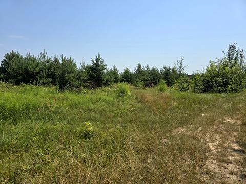 ділянка за адресою Орлова