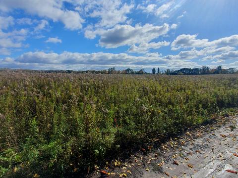 ділянка за адресою 