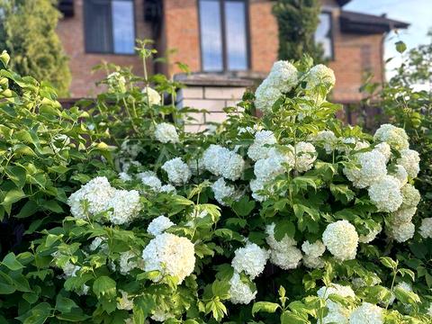 дом по адресу Соборная ул.