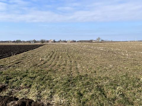 ділянка за адресою Лесі Українки, 43