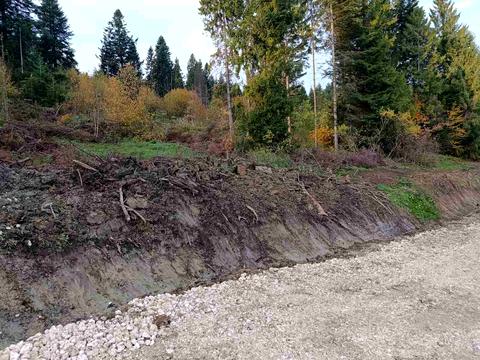 участок по адресу вул.Шевченка