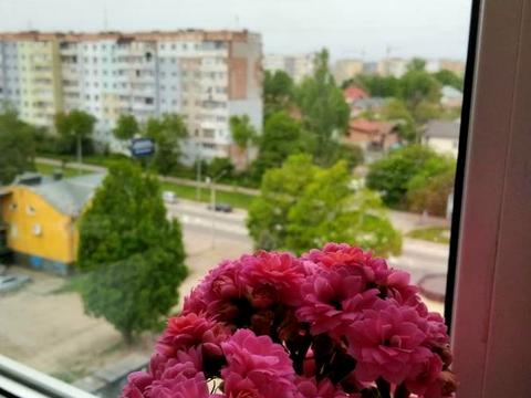 квартира за адресою Івана Павла, 2