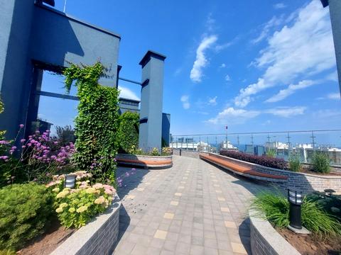 квартира по адресу Курортный пер., 2