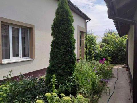 дом по адресу Амосова