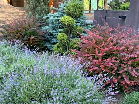 квартира за адресою Марсельська вул., 33в